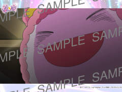 第33集PRIPARL03302-美妙天堂打印相卡