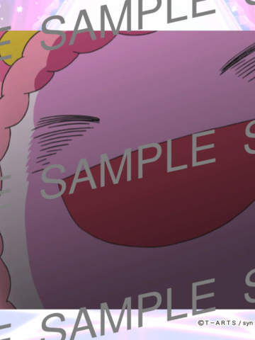 第33集PRIPARL03302-美妙天堂打印相卡