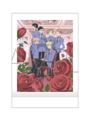 多人1拍立得-20周年纪念系列