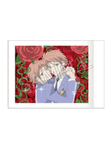 常陆院光&常陆院馨1拍立得-20周年纪念系列