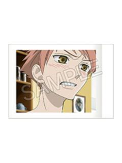 常陆院光1拍立得-20周年纪念系列