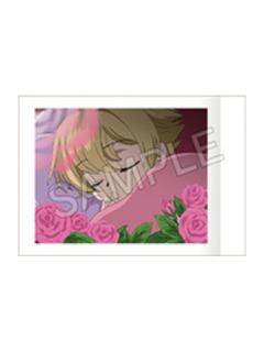 埴之冢光邦1拍立得-20周年纪念系列