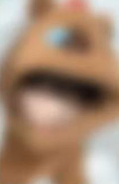 ms上海签售7 卡皮巴拉ver.