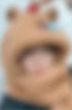 ms上海签售2 卡皮巴拉ver.