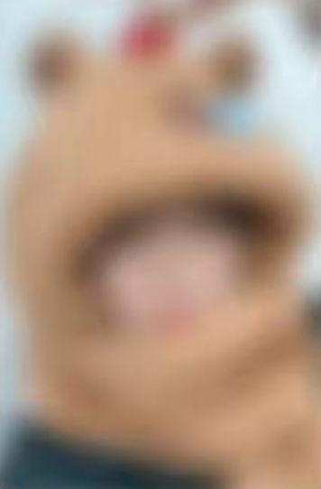 ms上海签售2 卡皮巴拉ver.