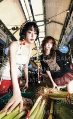 快闪随机卡 樱采