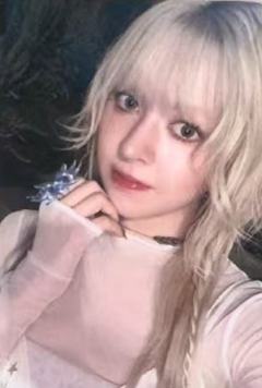 el签售1.0 1 线上ver.