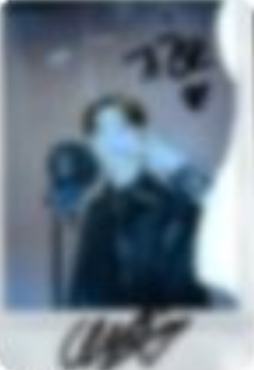 dingo幸运卡4 ver.B