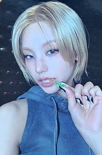 单封专卡 志 ver.B