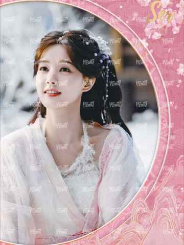 立体增效花窗特卡 4