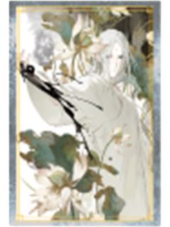 张灵玉A-炁相之境系列满赠明信片