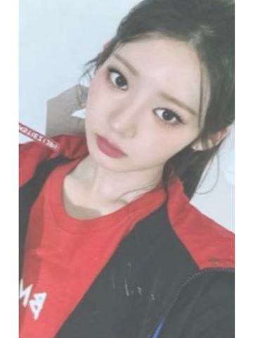 日本新入会3.0 茶