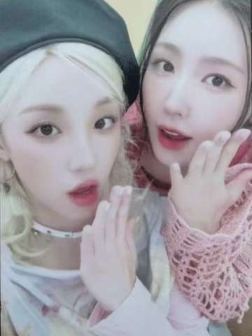 日巡神户C赏 面琦