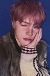 kpt签售1.0元 线上ver.