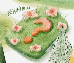 同行家族款 胶片相册