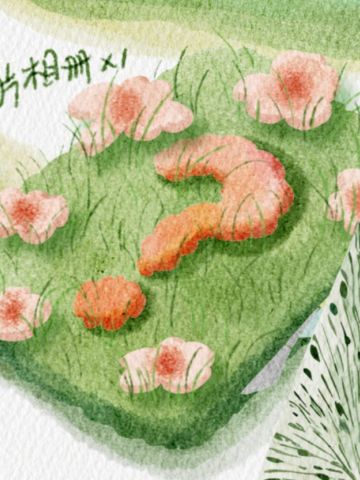 同行家族款 胶片相册