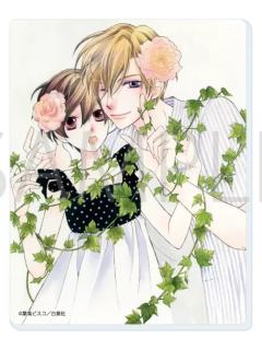 藤冈春绯&须王环-白泉社亚克力卡