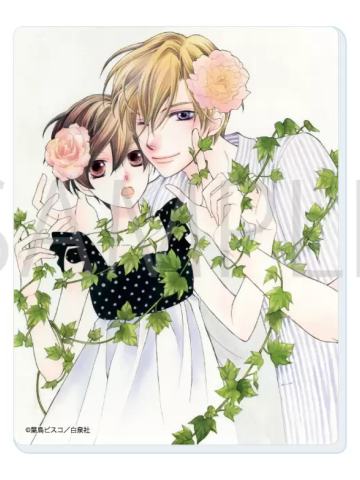 藤冈春绯&须王环-白泉社亚克力卡