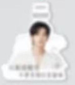 摇滚动物园代言行李牌