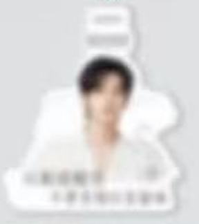 摇滚动物园代言行李牌