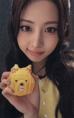 wvs预售 允 压力球ver.