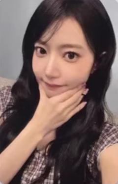 am预售 樱 单封ver.