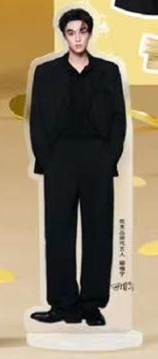 韩束代言2.0立牌