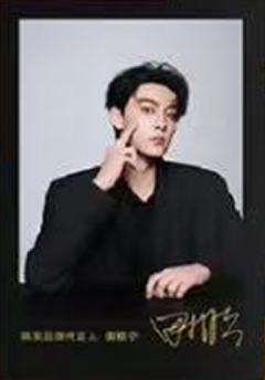 韩束代言2.0撕拉片