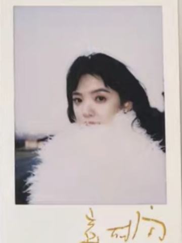 精彩购物指南拍立得 ver.B