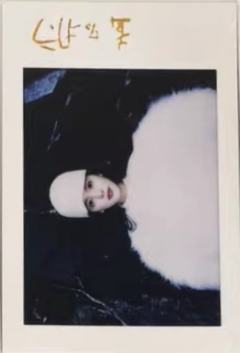 精彩购物指南拍立得 ver.C