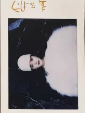 精彩购物指南拍立得 ver.C