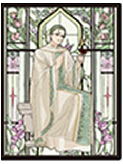 海塔小卡-蝴蝶系列