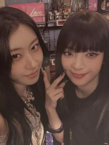 普版预售礼 粒领