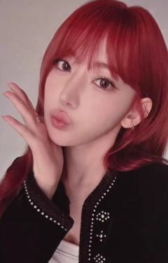 东蛋场周随机卡 樱 ver.E