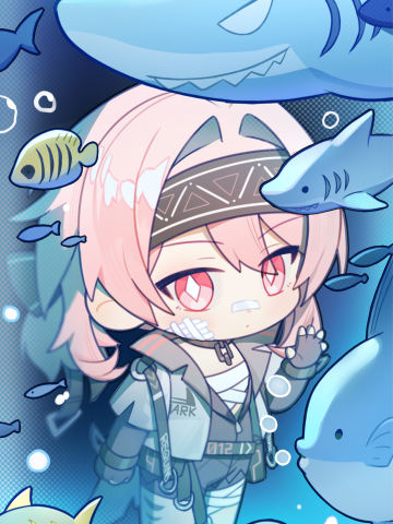 水箱之外·绯莎