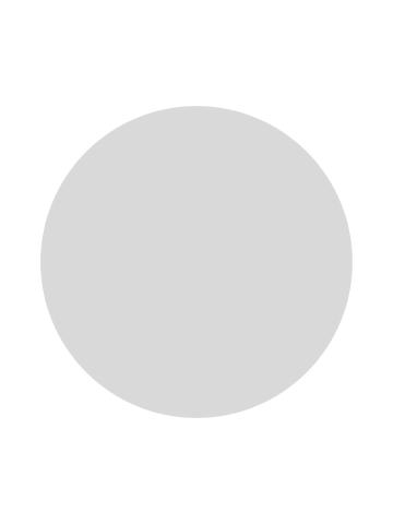 赛飞儿F赏陶瓷碟-万代一番赏第三弹