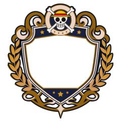 航海王：强者天下