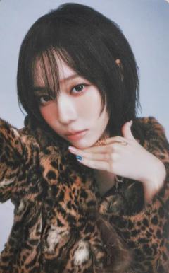 日巡随机卡 冬 ver.F