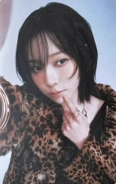 日巡随机卡 冬 ver.D