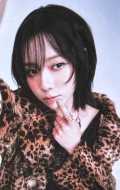 日巡随机卡 冬 ver.E