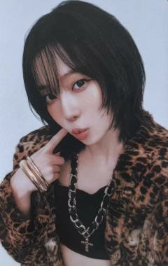 日巡随机卡 冬 ver.A