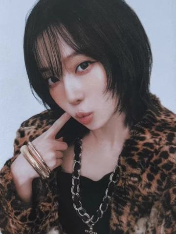 日巡随机卡 冬 ver.A