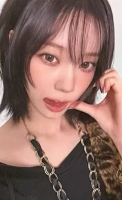 日巡满额卡 冬 ver.A