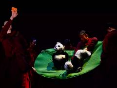 我的名字叫啊吨-资料图