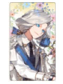 摄影师2-AGF2025 The Noble Welcome正比小卡