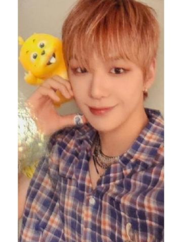 duda快闪小卡set ver.14