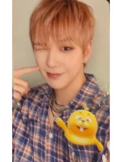 duda快闪小卡set ver.15