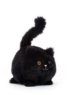 卡不朵黑色小猫