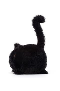 卡不朵黑色小猫-资料图