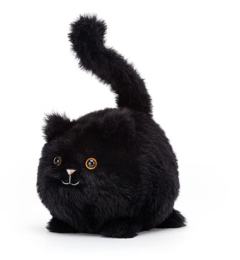 卡不朵黑色小猫-资料图